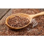 GRIZLY Lněné semínko hnědé 1 kg – Zboží Dáma