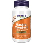 Now Foods Gastro Comfort with PepZin GI 60 veg kapslí – Hledejceny.cz