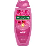 Palmolive Memories of Nature Flower Field sprchový gel 250 ml – Hledejceny.cz