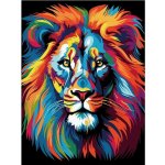Grafix Malování podle čísel lev 30 x 30 cm černé plátno – Hledejceny.cz