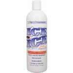 Chris Christensen Ice on Ice Detangling Conditioner Rozčesávací Kondicionér s arganovým olejem 473 ml – Hledejceny.cz