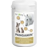 DROMY Pangamin pro koně psy kočky 900 g – Hledejceny.cz