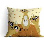 Dynasit Polštář DEKO Suri 38x38 – Hledejceny.cz