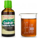 Bylinné kapky Pavlovy Cedrát Buddhova ruka TCM tinktura 50 ml – Hledejceny.cz