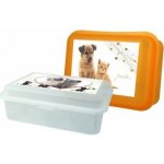 Tvar box malý 11x8x6cm Mazlíčci různé motivy – Zboží Dáma