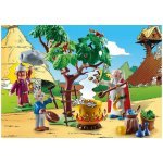 Playmobil 70933 Panoramix s kouzelným lektvarem – Zboží Živě