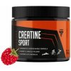 Creatin TREC Endurance CREATINE SPORT 300 g