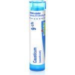 CAUSTICUM POR 9CH GRA 1X4G – Hledejceny.cz