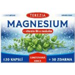 TEREZIA MAGNESIUM + vitamin B6 a meduňka Limitovaná edice 120 + 30 kapslí – Hledejceny.cz