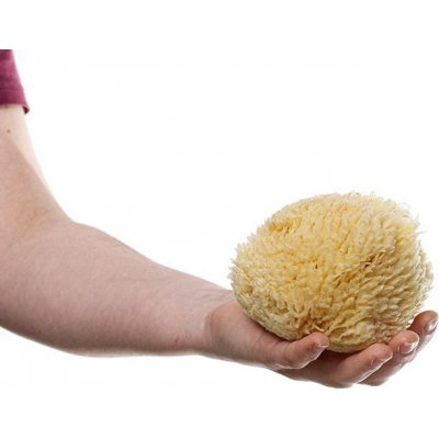 MKN Mořská houba Honeycombe střední bělená – Zboží Dáma