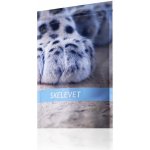 Energy Skelevet 180 tbl – Hledejceny.cz