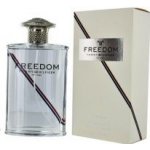 Tommy Hilfiger Freedom toaletní voda pánská 100 ml tester – Hledejceny.cz