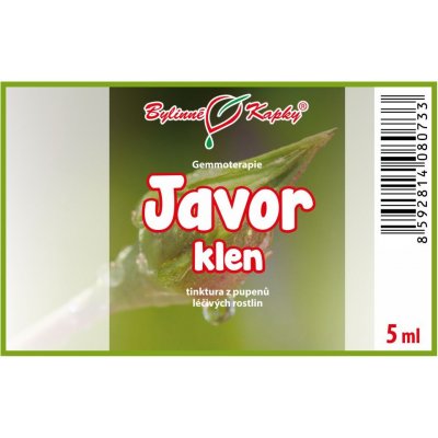 Bylinné kapky Gemmoterapie Javor klen pupeny tinktura z pupenů 5 ml – Hledejceny.cz