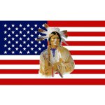 Vlajka AMERICAN INDIAN – Hledejceny.cz
