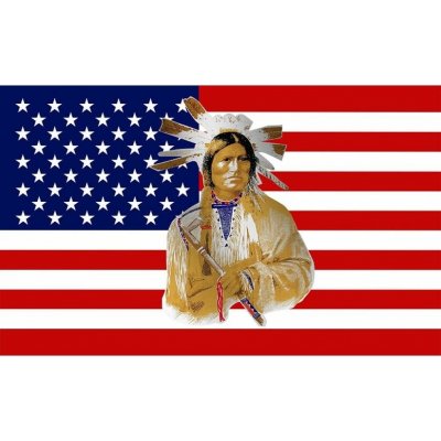 Vlajka AMERICAN INDIAN – Hledejceny.cz
