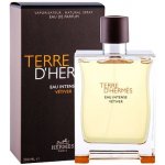 Hermès Terre D'Hermès Eau Intense Vetiver parfémovaná voda pánská 200 ml – Hledejceny.cz