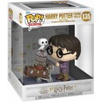Funko Pop! Harry Potter Harry With Prophecy 9 cm – Hledejceny.cz