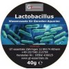 GT essentials Lactobacillus 10 g