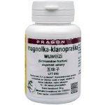 Pragon Klanopraška Magnolka Schizandra Wu wei zi 20 g – Hledejceny.cz