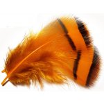 Tommi-fly PEŘÍ STŘÍBRNÉHO BAŽANTA KRČNÍ oranžové – Hledejceny.cz