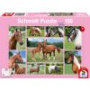 Puzzle Schmidt Nádherní koně 150 dílků