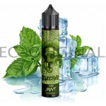 Revoltage Chladivá máta Shake & Vape 10 ml – Hledejceny.cz