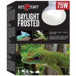 Repti Planet Daylight Frosted 75 W 007-41023 – Zboží Dáma