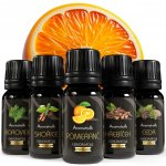 Aromaholik Vánoční sada esenciálních olejů Plus 5 x 10 ml pomeranč, skořice, borovice, cedr, hřebíček – Hledejceny.cz