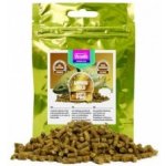 Arcadia EarthPro-AmphibiGold 80 g – Sleviste.cz
