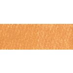 Derwent Pastel v tužce P570 tan – Zboží Mobilmania