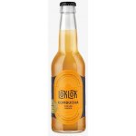 LokLok Kombucha Zázvor 330 ml – Hledejceny.cz