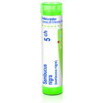 SAMBUCUS NIGRA POR 5CH GRA 4G – Hledejceny.cz