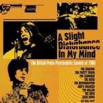 Various - A Slight Disturbance In My Mind - The British Proto-Psychedelic Sounds of 1966 CD – Hledejceny.cz