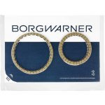 Sada Lamel OIbložení, lamel. spojka (automatická převodovka) BorgWarner 203536 | Zboží Auto