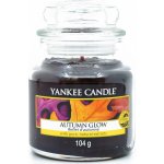 Yankee Candle Autumn Glow 104 g – Hledejceny.cz