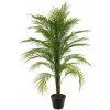 Květina Palma 'Areca' v květináči zelená V120 cm