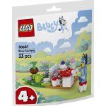 LEGO® Classic 30687 Odpolední čaj Blue – Zboží Dáma