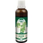 Naděje Javor babyka tinktura z pupenů 50 ml – Hledejceny.cz