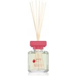 Ipuro Essentials Winter Berries aroma difuzér s náplní 100 ml – Sleviste.cz