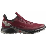 Salomon Alphacross 4 GTX BIRD/black/FRSTGY L41722800 – Zboží Dáma