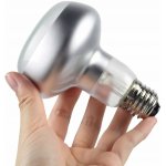 Repti Zoo Intense Basking Spot 75 W – Zboží Dáma