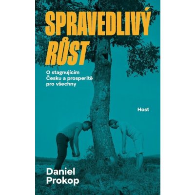 Spravedlivý růst - O stagnujícím Česku a prosperitě pro všechny – Zboží Dáma
