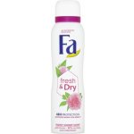 Fa Fresh & Dry Pink Sorfet deospray 150 ml – Hledejceny.cz