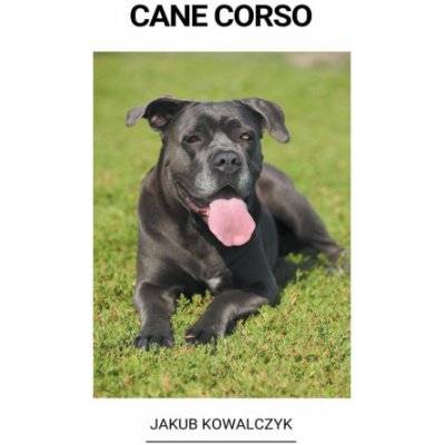 Cane Corso – Zbozi.Blesk.cz