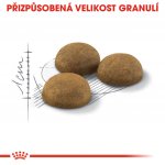 Royal Canin Indoor Long Hair 4 kg – Zbozi.Blesk.cz