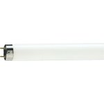 Philips Master Massive TL-D Super 80 1m 36W 840 G13 lineární zářivka – Hledejceny.cz