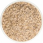 Ochutnej Ořech Slunečnicové semínko loupané VELKÉ 1 kg – Hledejceny.cz