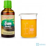 Bylinné kapky Jam yam čínský Dioscorea batatas 50 ml – Hledejceny.cz