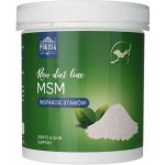 Pokusa RawDietLine MSM 300 g – Hledejceny.cz