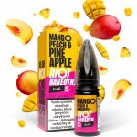 Riot Squad BAR EDTN Salt Mango Peach Pineapple 10 ml 10 mg – Zboží Dáma
